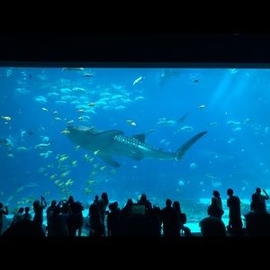 Meet your Posher, Hailey